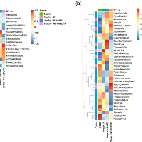 Z Score Hierarchical Clustering Analysis And Heatmaps Of The Relative Download Scientific