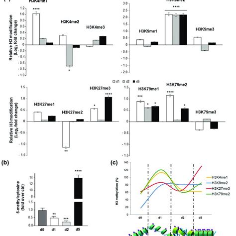 Epigenetic Modifications During Osteogenic Differentiation Of Human