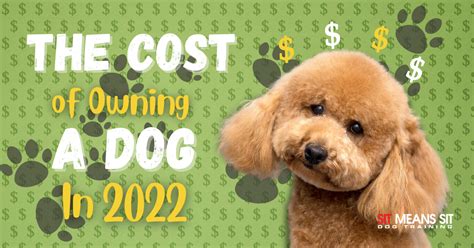 How Much Does It Cost To Own A Dog In 2022 Sit Means Sit New Hampshire