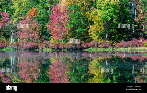 Fall Foliage Harriman State Park New York Stock Photo - Alamy