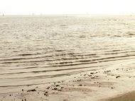 Naked Claire Forlani In Precious Cargo