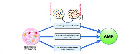 Repurposed Antibiotics Can Lead To An Increase In Amr By Exerting