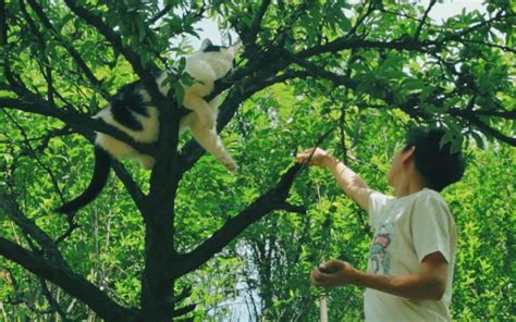 【野居青年】一鱼三吃，就算是一个人的午餐，也不能亏待自己哔哩哔哩bilibili