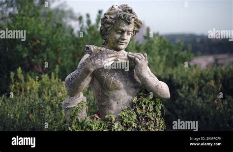 Beautiful Marble Statue Of Naked Man Overgrown With Greenery In Famous Garden Of Stock Video