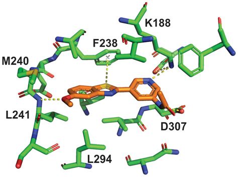 Pharmaceuticals | Free Full-Text | Novel DYRK1A Inhibitor Rescues ... 