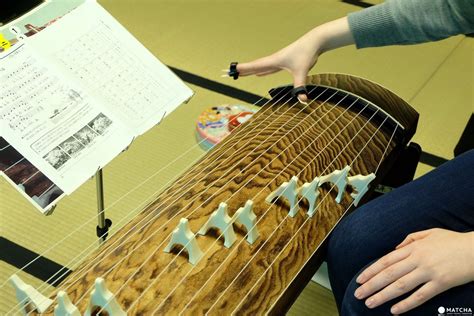 Koto Discover The Sound Of An Amazing Traditional Instrument Matcha