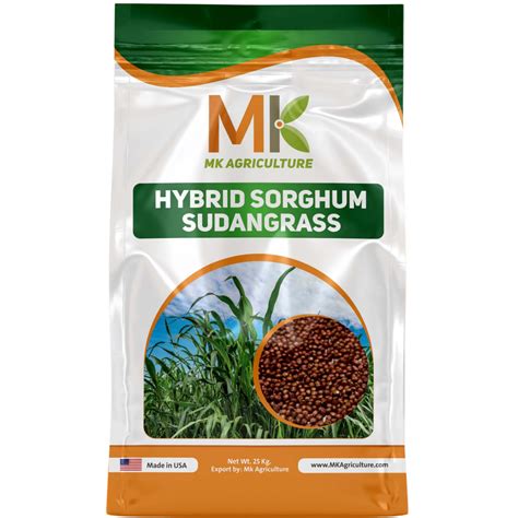 Hybrid Sorghum Sudangrass Mk Agriculture