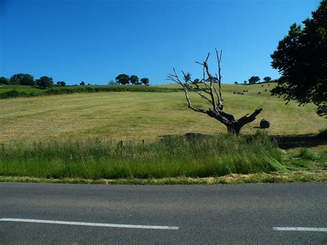 20090603 051 1113 Jakobus Hügel Feld Bäume Baum Straße Flickr