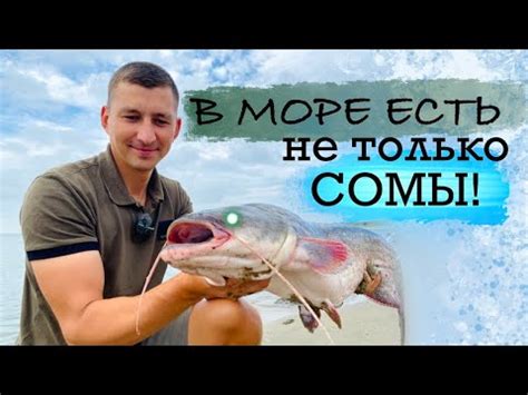 Рыбалка на КРАСНОДАРСКОМ ВОДОХРАНИЛИЩЕ - YouTube