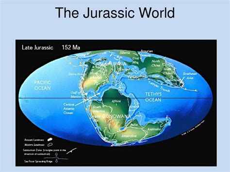 Ppt The Mesozoic Era Powerpoint Presentation Free Download Id2366664