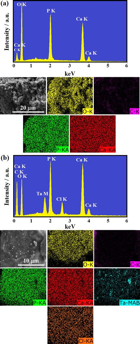 Eds Results And Elemental Mapping Analysis Of The A Undoped S And