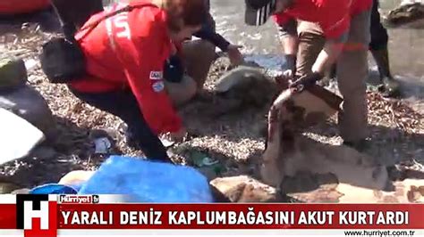 Yarali Den Z Kaplumba Asini Akut Kurtardi Dailymotion Video