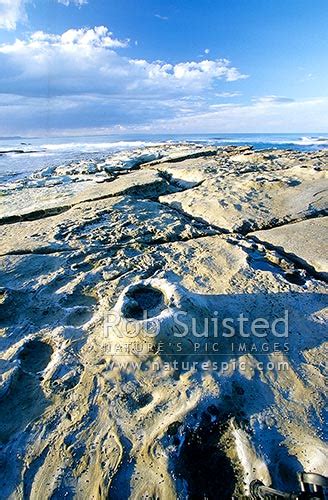 Auroa Point Wave Platform At Dusk Mahia Peninsula Hawkes Bay Mahia