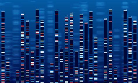 Resources BioSkryb Genomics