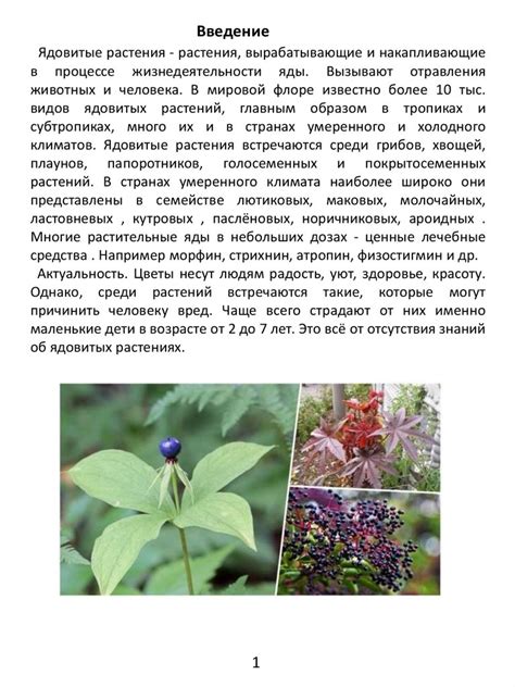 Ядовитые растения - презентация онлайн