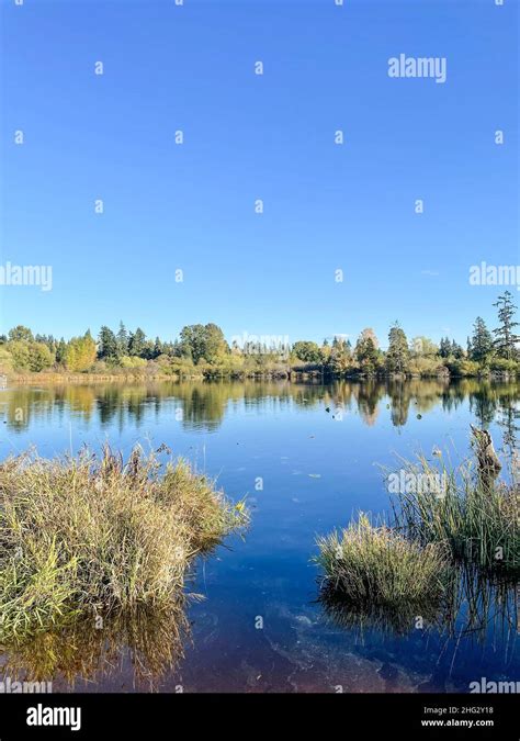 Larsen Lake Blueberry Farm Hi Res Stock Photography And Images Alamy