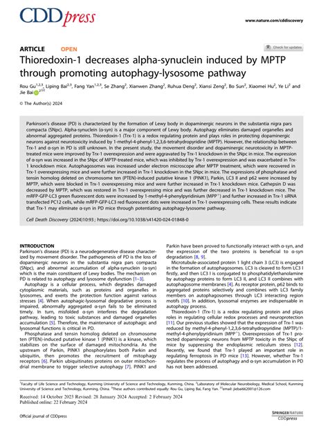 PDF Thioredoxin 1 Decreases Alpha Synuclein Induced By MPTP Through