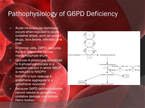 17 G6pd Deficiency Anemia Pathophysiology Png