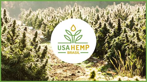 USA HEMP Brasil Produtos