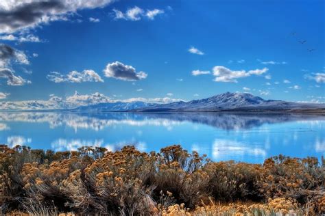 Tour Di Un Giorno Del Gran Lago Salato E Dell Isola Di Antelope Fornito