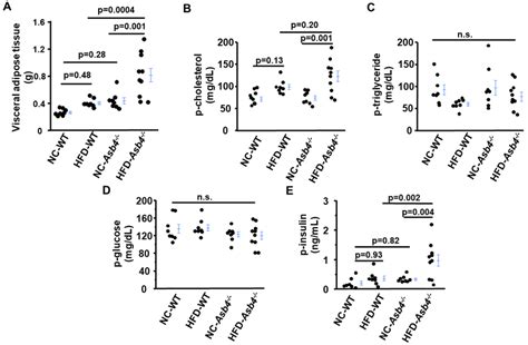 A high-fat diet (HFD) increases the visceral adipose tissue mass and ...