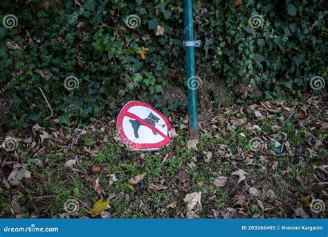 A Sign Of No Dogs Allowed In A Park On The Floor Stock Image Image Of