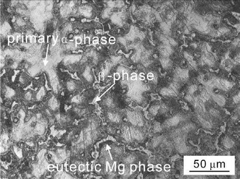 Figure 1 From Corrosion Behavior Of Az91 Magnesium Alloy In Dilute Nacl