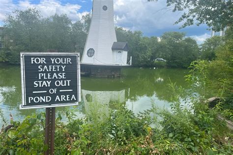 Alligators in Beltsville? Apartment residents warned to be careful ...