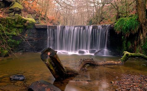 Autumn Forest Waterfall wallpaper | nature and landscape | Wallpaper Better