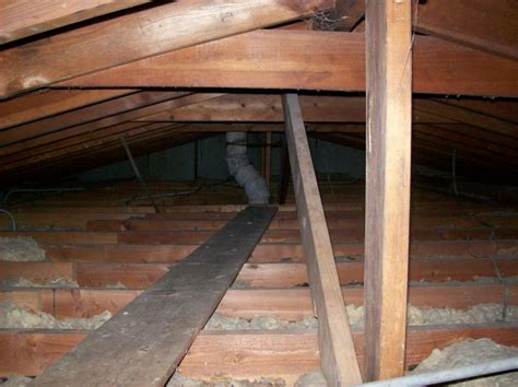 Raccoon in Attic, Virginia Raccoon Removal