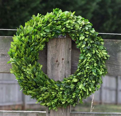 Preserved Garden Boxwood Wreath — Eatwell101