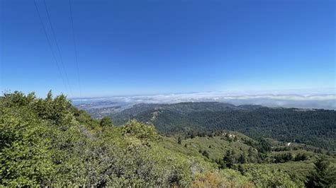 View From Mount Tamalpais Park Information Parkscago Flickr