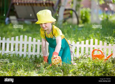 Girl Watering Plant Seedling Banque De Photographies Et Dimages