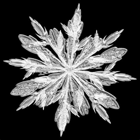 Ice crystals under the microscope — Microscopes.com.au