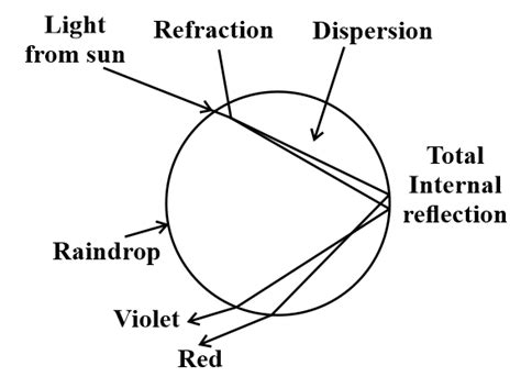 Explain the formation of rainbow in the sky with the help of diagram