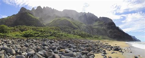 Fern Plant On The Famous Kalalau Trail Along Na Pali Coast Of The