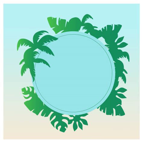 130 Shadow Palm Trees Tropical Beach Cartoon Stock Illustrations