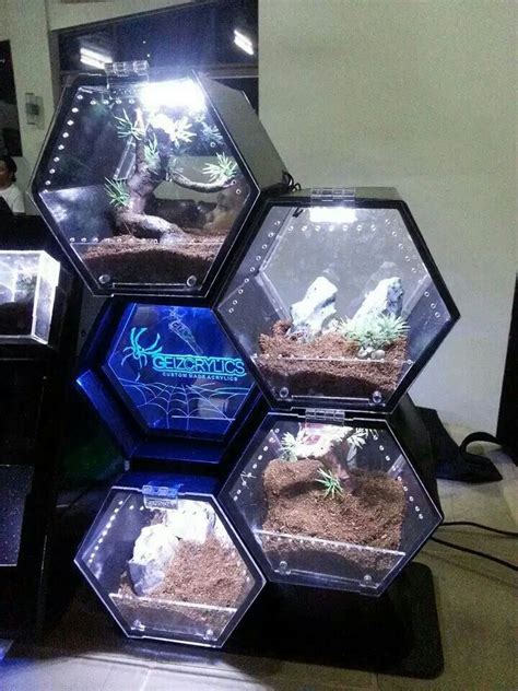 Hexagon Tarantula Enclosures Creepy But The Containers Would Be Cool