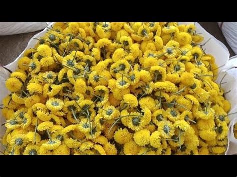 Today S Flowers Rates At Nangali Chikkaballapura Flower Markets 11 04