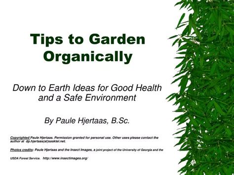 PPT - Tips to Garden Organically PowerPoint Presentation, free download - ID:62236