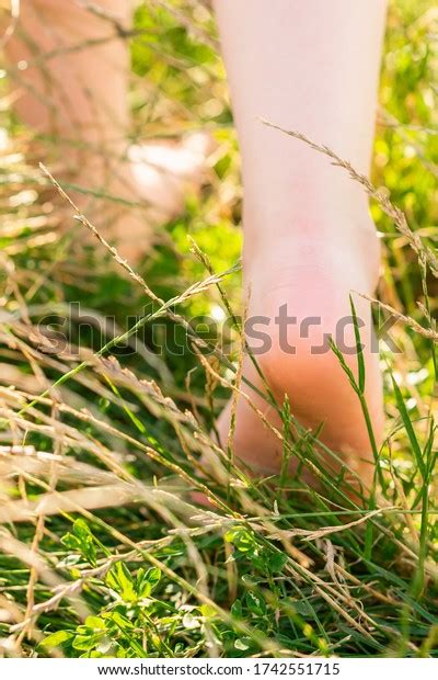 Back View Barefoot Female Legs Walking Stock Photo 1742551715