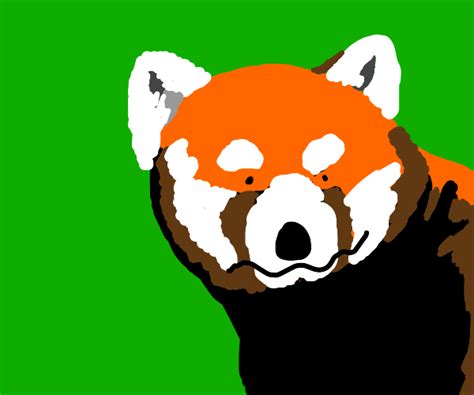 Red Panda Drawception