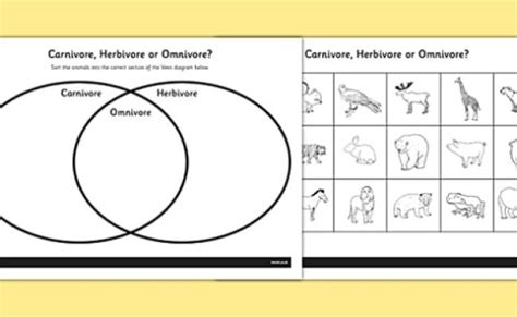 Omnivore Carnivore Or Herbivore Venn Diagram Sorting Worksheet