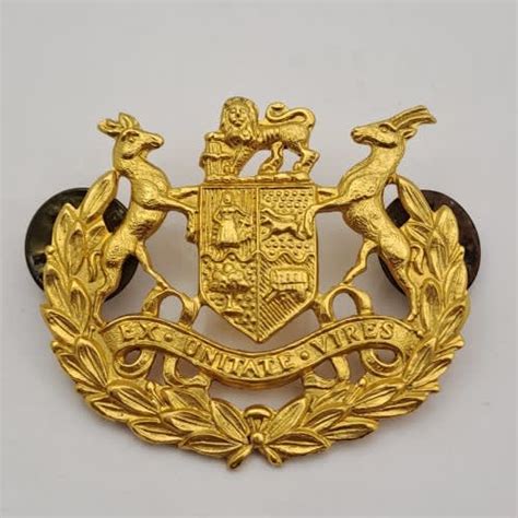 South African Army South African `ex Unitate Vires` Army Badge Pins Intact For Sale In