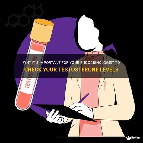 Why It S Important For Your Endocrinologist To Check Your Testosterone Levels Medshun