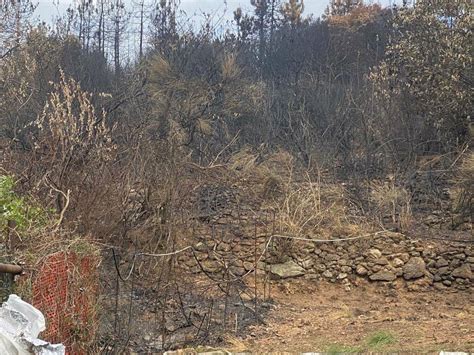 Incendio A Ciantagalletto Vigili Del Fuoco E Volontari Ancora Al