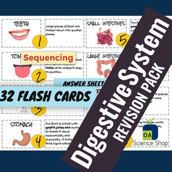 Digestive System Revision Flash Cards Puzzles By Da Science Shop