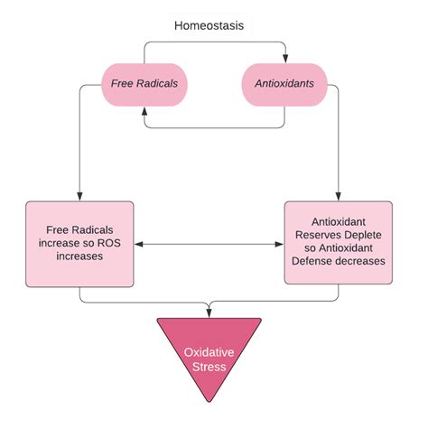 Free Radicals And Oxidative Stress Lead Poisoning