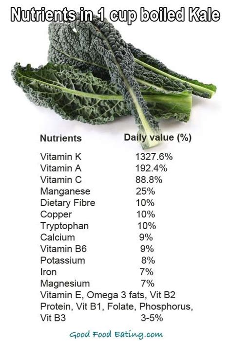 Nutritional Benefits Of Kale Plus Some Great Kale Recipes Kale