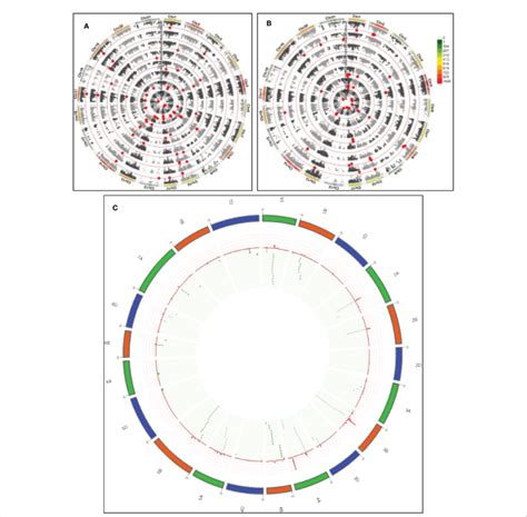 Qtl Detection For Quality And Agronomic Traits A From Inside Out